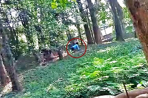 Man jumps into lion’s enclosure at Kerala zoo, gets rescued in the nick of time
