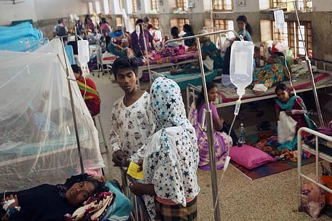3 more succumb to rat fever in Kerala following outbreak in the state