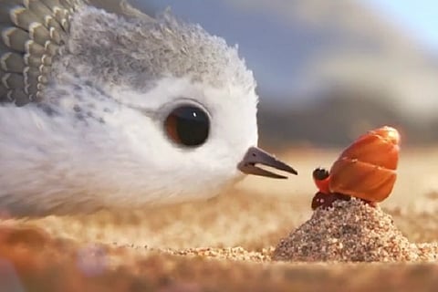 Disney-Pixar's short film ‘Piper’ is the most adorable thing you'll watch today