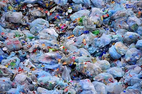 How plastics made from plants could be the answer to the world's waste problem