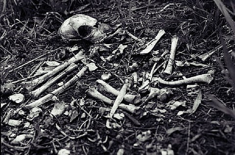 Year-old body of woman found in plastic barrel in Kochi, skeletal remains discovered