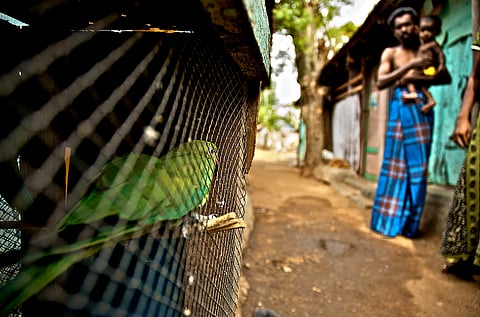 The European refugee crisis is already happening in India, have you noticed?