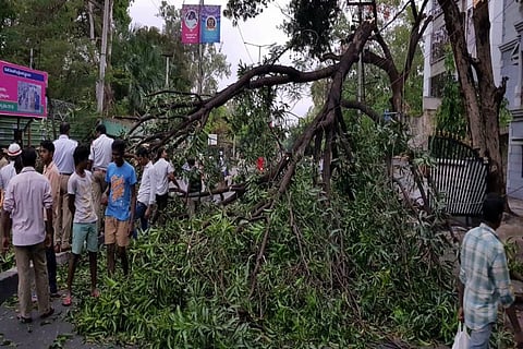 Heavy rains in Telangana: Six die, Rs 100 crore worth crop loss estimated