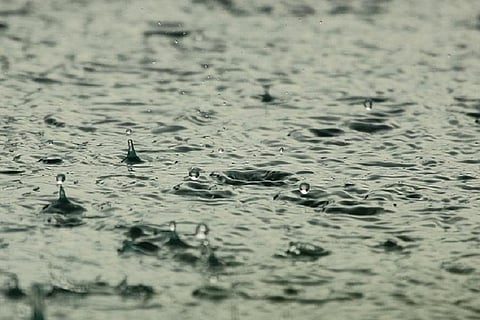 IMD warns of intense rain in Andhra Pradesh, farmers urged to safeguard crops
