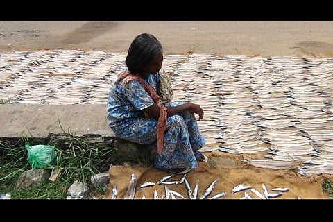 Ground Report: Currency tsunami hits Kerala fisher village