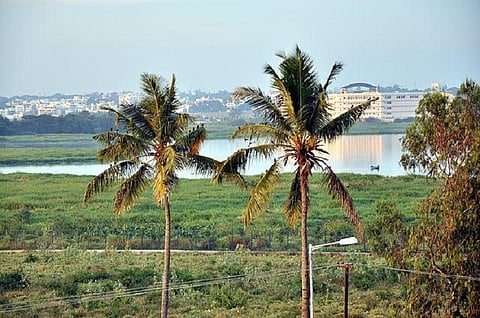 Bellandur-Agara encroachment case: NGT slaps Rs 5 lakh fine on Mantri Techzone
