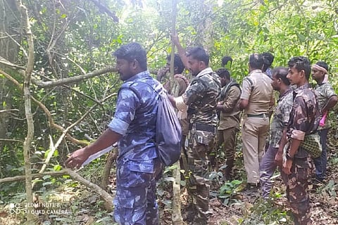Anti Poaching Watchers wearing uniform and working in the forest.
