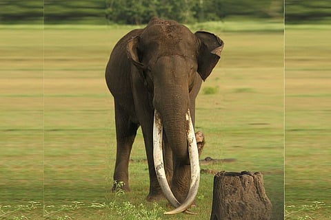 A file photo of Bhogeswara