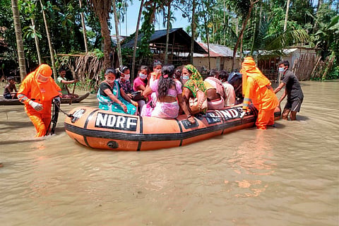 Assam floods: 33 lakh people affected, 51 animals from Kaziranga killed