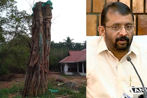 A beloved banyan tree is dying slowly after Kerala floods: Speaker seeks help