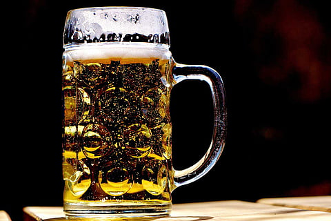 Freshly Brewed Beer