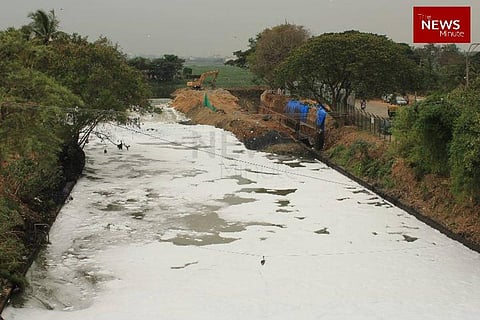 Why does Bengaluru’s Bellandur Lake spew toxic foam? IISc study has some answers