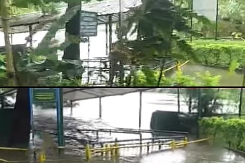 K’taka’s Ranganathittu Bird Sanctuary flooded, visitors' entry barred