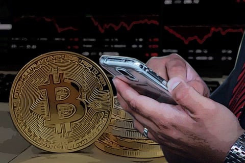 New entrants to the market were particularly affected in the recent crypto market crash.