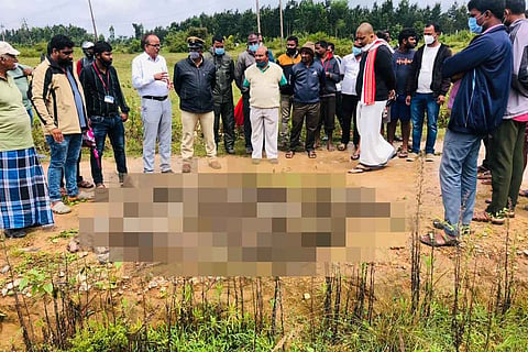 Locals gathered over the bodies of the bonnet macaques