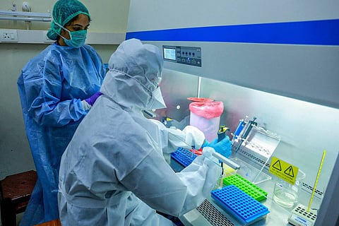 A coronavirus lab conducting tests on samples