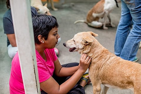 Bengaluru doggies’ adoption centre needs more space, and you can help