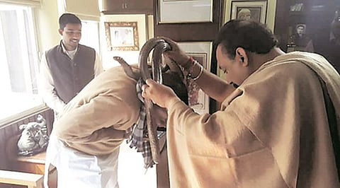 Photographs of Bihar IT minister holding snake goes viral, Grand Alliance expresses disapproval