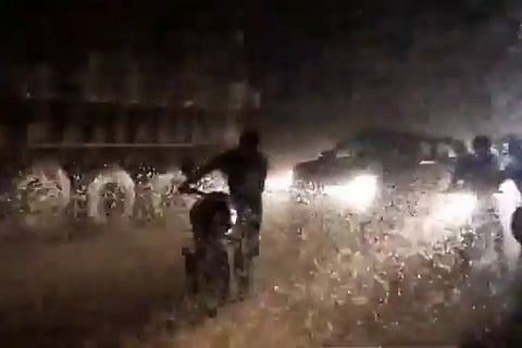 A motorist walks along with their bike as caddisflies swarm the road