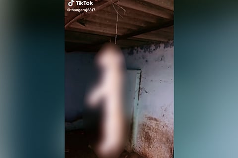 Cat tiktok