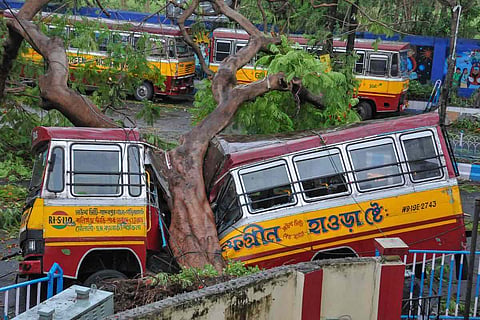 Aftermath of Cyclone Amphan