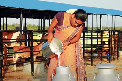 Manthithope Transgender Milk Producer Society