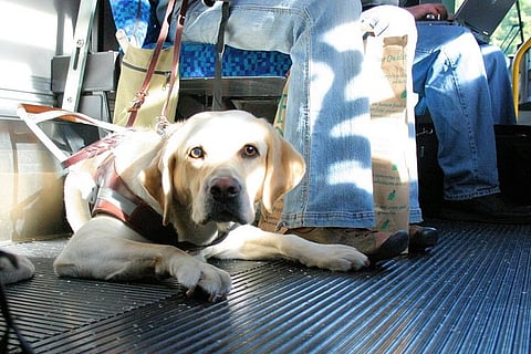 Did you know you can take your pets on Karnataka’s buses?