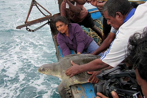 Dr Supraja Dharini