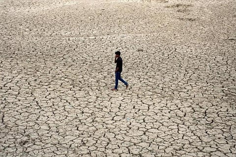 Dam water levels across Kerala dip alarmingly due to rising temperatures