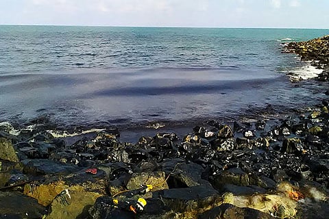 Ground Report: Disaster on Chennai's coast as oil spill cripples livelihood, marine life
