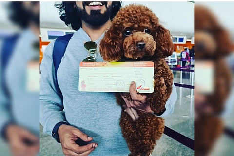 Sachin with his dog Fluffy and her Air India boarding pass