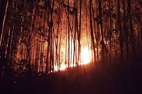 Wildfire engulfs Neelakurinji sanctuary, officials suspect land mafia’s hand behind it