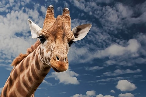 Six bizarre petitions from Change.org that you should sign now!