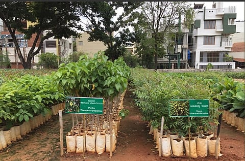 K’taka Forest Dept to launch app to tackle crisis of dwindling tree cover in B’luru