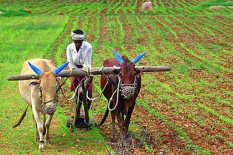 Old scheme, new figures: TN Budget 2019 woos farmers ahead of Lok Sabha polls