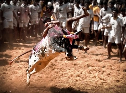 Group attempts to stage rail roko for lifting Jallikattu ban, warns state-wide protest if ban not revoked
