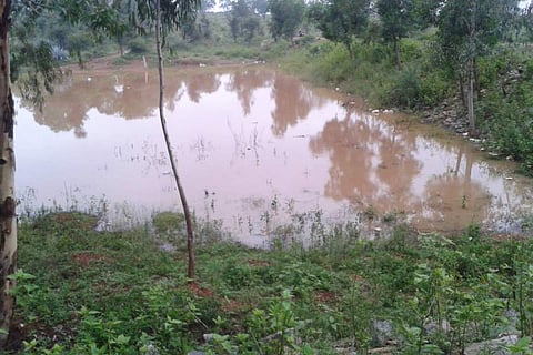 A water body in the Bengaluru University biopark