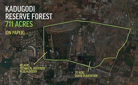 In the name of development: The tale of Kadugodi’s depleting green cover and a land battle