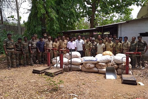 Andhra vs Kerala: Forest officials spar over sandalwood seized in a raid in Chittoor