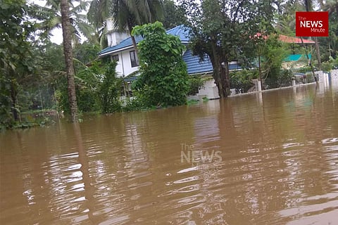 Kerala govt sets up team to assess biodiversity loss on account of floods