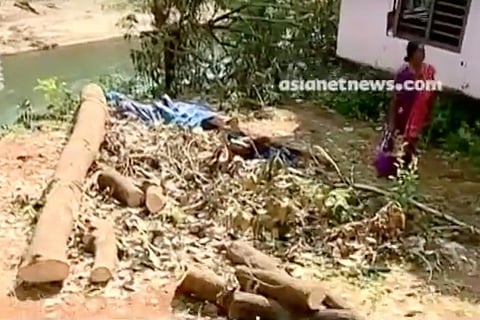 Caught in boundary row, Kerala couple arrested by K’taka Forest Dept for felling trees