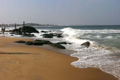 Why stormwater drains in beaches is a bad idea.
