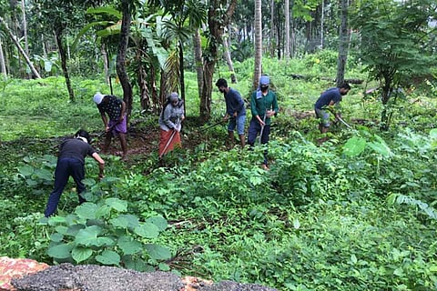 Group of Kerala engineering, diploma grads turn to MGNREGA work to make ends meet