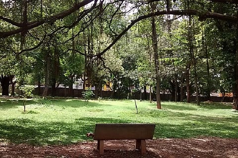 After decades of dilly-dallying, BBMP begins tree census in Bengaluru