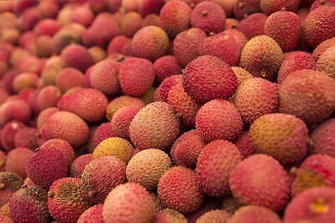 Love litchis? Toxins in the fruit to blame for thousands of child deaths in Bihar