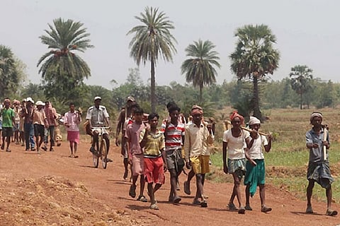 Demand for NREGA work rises in AP, but wage dues worth Rs 764 crore yet to be cleared