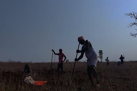 Rural employment
