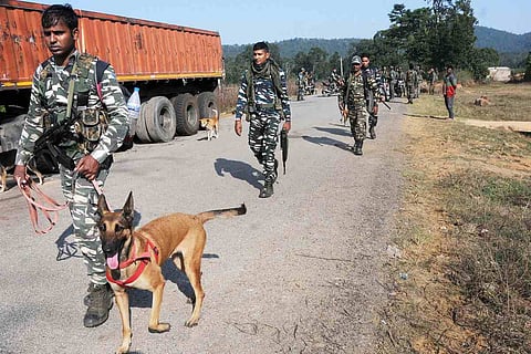 CRPF officials with sniffer dogs examining container trucks parked on the side of a road