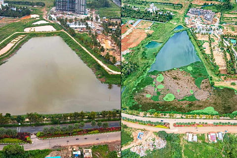 Maragondanahalli Lake before and after it was restored