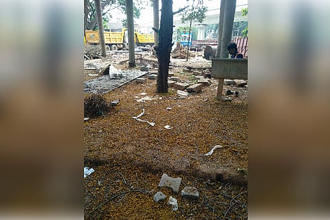 250 trees to be cut for Bengaluru metro line? Residents up in arms